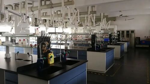 食品工程技術咨詢 推動食品安全與創(chuàng)新的關鍵角色