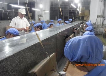 專業(yè)玩具加工與塑膠配件生產(chǎn) 技術(shù)、價(jià)格與咨詢服務(wù)全解析