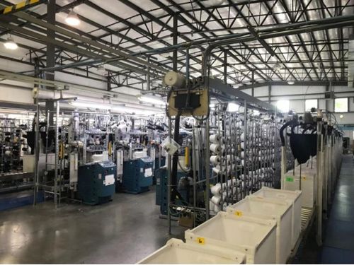 全球布局引領(lǐng)未來 華爾科技成為中國紡織業(yè)的世界代言人